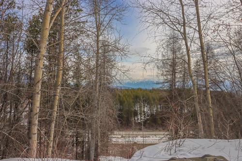 1028 - 930 Dogwood Drive, Kimberley, BC - Outdoor With View