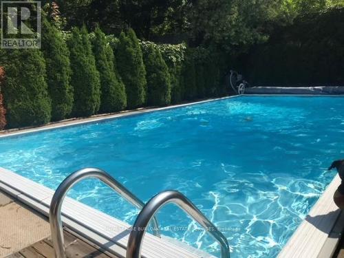 3 Mountain Ave, Hamilton, ON - Outdoor With Above Ground Pool
