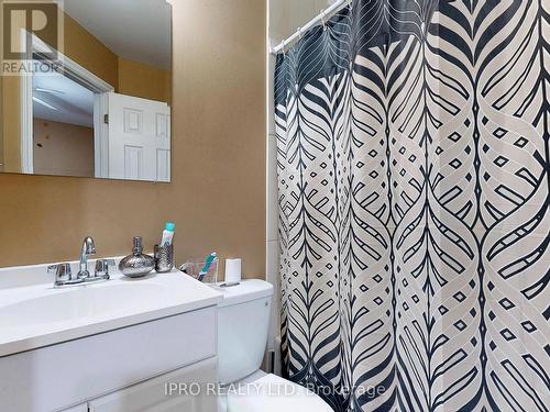 4 Mcmurchy Avenue S, Brampton, ON - Indoor Photo Showing Bathroom