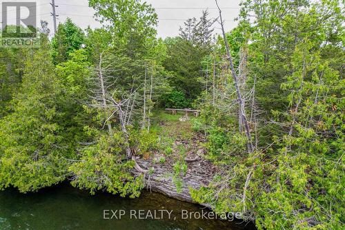 791 County 38 Rd, Trent Hills, ON - Outdoor With Body Of Water With View