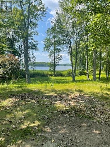 35 Big Island Road W, Havelock-Belmont-Methuen, ON 