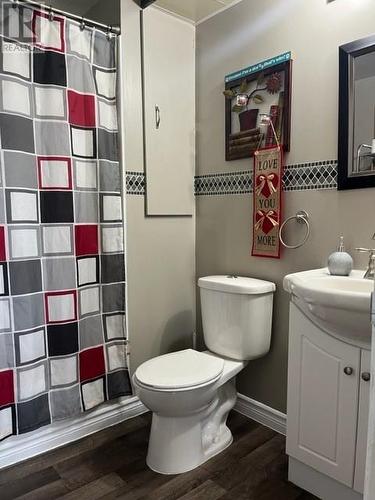 7 Coronation Street, Corner Brook, NL - Indoor Photo Showing Bathroom