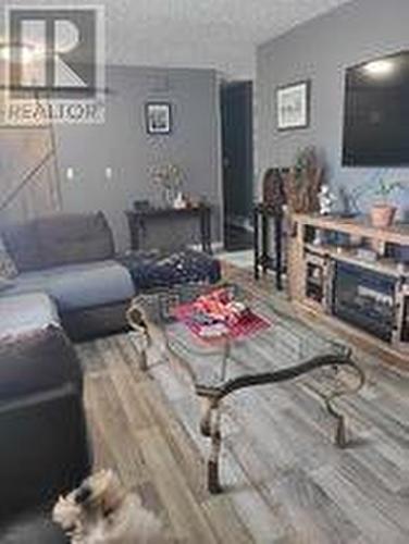 7 Coronation Street, Corner Brook, NL - Indoor Photo Showing Living Room