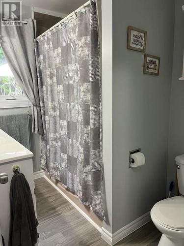7 Coronation Street, Corner Brook, NL - Indoor Photo Showing Bathroom