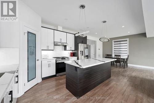572 Chelton Road, London, ON - Indoor Photo Showing Kitchen With Upgraded Kitchen