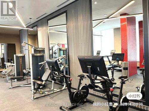 1005 - 212 King William Street, Hamilton, ON - Indoor Photo Showing Gym Room