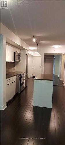 501 - 295 Adelaide Street, Toronto, ON - Indoor Photo Showing Kitchen