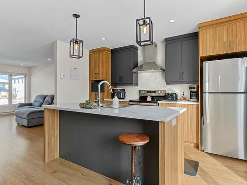 Kitchen - 133 Rue Pierre-Dionne, Salaberry-De-Valleyfield, QC - Indoor Photo Showing Kitchen With Upgraded Kitchen