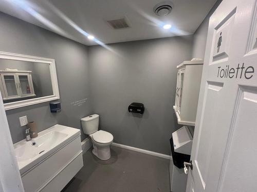Salle d'eau - 26 Rue Des Sulpiciens, L'Épiphanie, QC - Indoor Photo Showing Bathroom