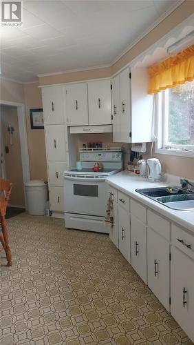 122 Mountainview Road, Salvage, NL - Indoor Photo Showing Kitchen With Double Sink