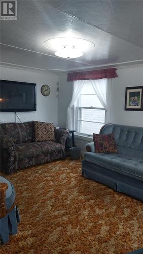 122 Mountainview Road, Salvage, NL - Indoor Photo Showing Living Room