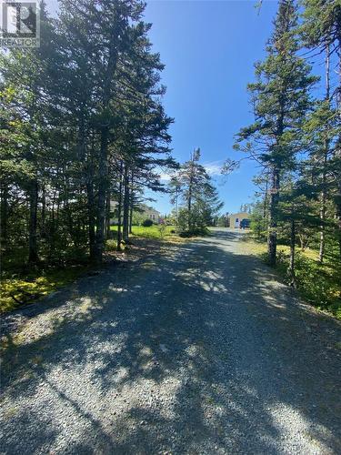 27 Grasbo Acres Road, Makinsons, NL - Outdoor With View