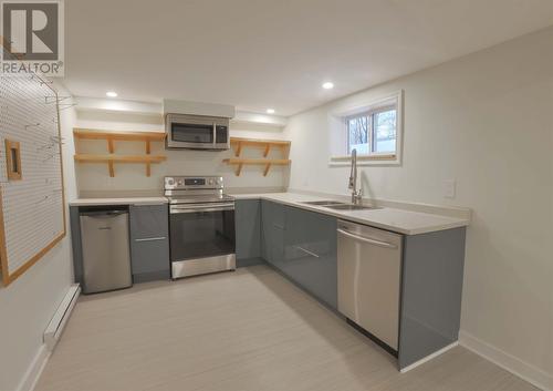 24 Burke Place, St. John'S, NL - Indoor Photo Showing Kitchen With Double Sink