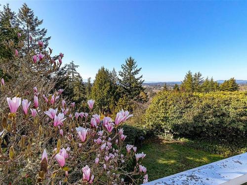 944 Kentwood Terr, Saanich, BC - Outdoor With View