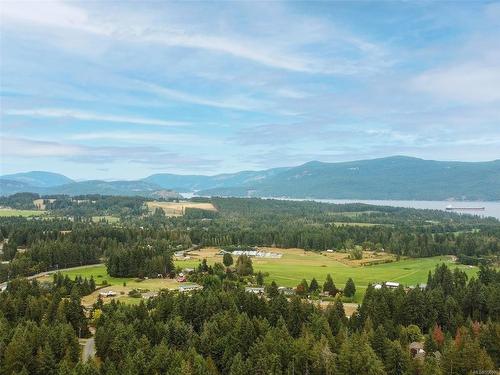 3627 Vanland Rd, Cobble Hill, BC - Outdoor With View