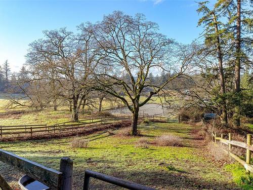 4040 Holland Ave, Saanich, BC - Outdoor With View