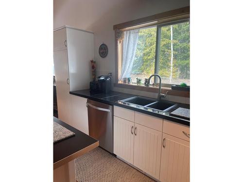 153 Wildwood Road, Nakusp, BC - Indoor Photo Showing Kitchen With Double Sink