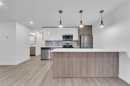 227 Market Street|Unit #1, Hamilton, ON - Indoor Photo Showing Kitchen With Upgraded Kitchen