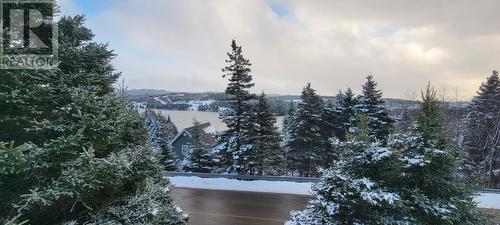 690 Ville Marie Drive, Marystown, NL - Outdoor With View