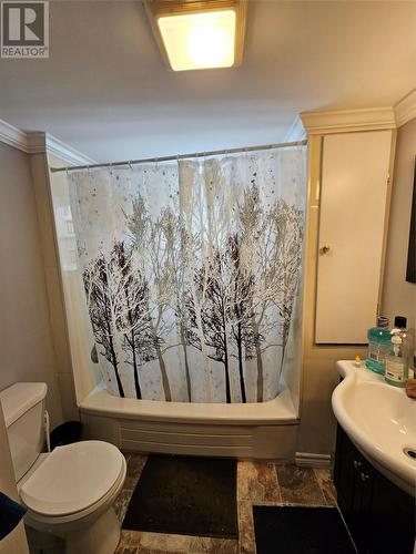 188 Oconnell Drive, Corner Brook, NL - Indoor Photo Showing Bathroom