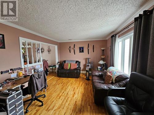 188 Oconnell Drive, Corner Brook, NL - Indoor Photo Showing Living Room