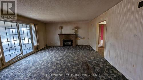 144 Wilson St, Woodstock, ON - Indoor Photo Showing Other Room With Fireplace
