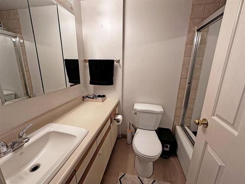 502 130 Brodie Street, Thunder Bay, ON - Indoor Photo Showing Bathroom