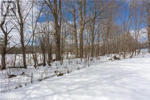 154 Sutter Street, Grey Highlands, ON - Outdoor With View