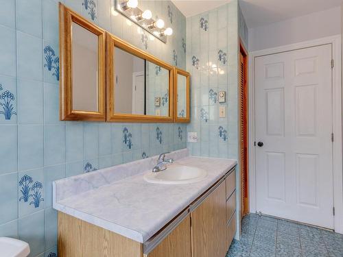 Salle de bains - 30 Ch. Du Bonheur, Mille-Isles, QC - Indoor Photo Showing Bathroom