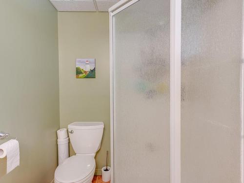 Salle de bains - 30 Ch. Du Bonheur, Mille-Isles, QC - Indoor Photo Showing Bathroom
