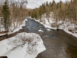 Bord de l'eau - 