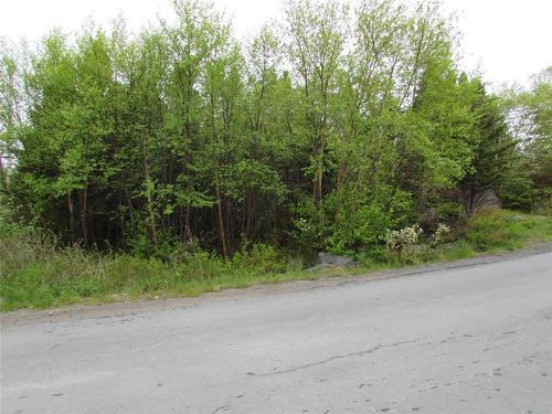 1-3 Cove Road, Colliers, NL 