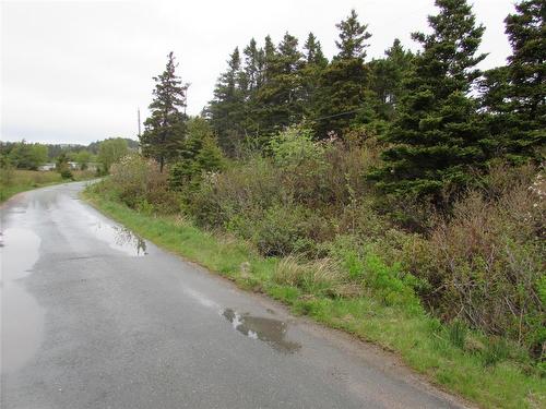 1-3 Cove Road, Colliers, NL 