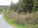 1-3 Cove Road, Colliers, NL 