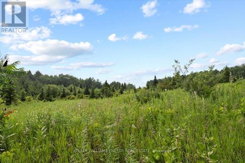 0 Frank Ritchie Rd, Hamilton Township, ON 