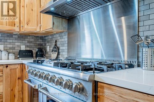 2221 County Road 620 Rd, North Kawartha, ON - Indoor Photo Showing Kitchen