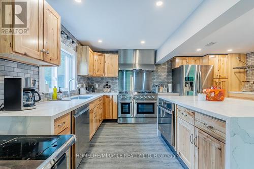 2221 County Road 620 Rd, North Kawartha, ON - Indoor Photo Showing Kitchen With Stainless Steel Kitchen With Upgraded Kitchen