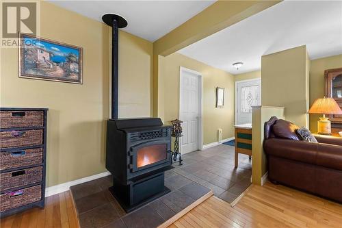 Pellet Stove - 66 Sinkhole Trail, Westmeath, ON - Indoor With Fireplace