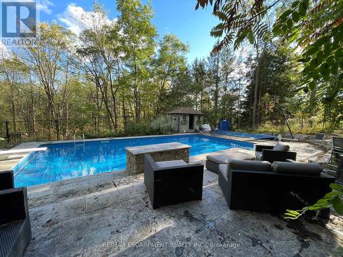 152 Weirs Lane, Hamilton, ON - Outdoor With In Ground Pool With Backyard