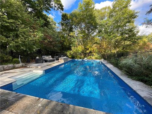 152 Weirs Lane, Flamborough, ON - Outdoor With In Ground Pool With Backyard