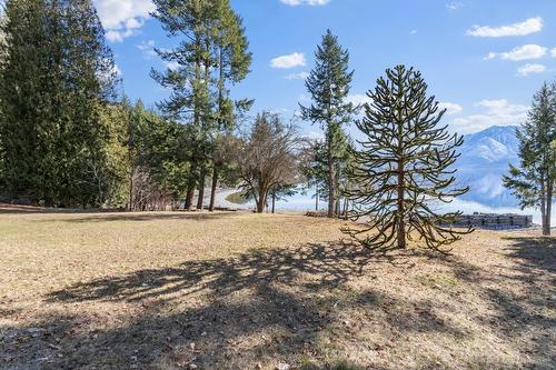 12185 Highway 3A, Boswell, BC - Outdoor With View