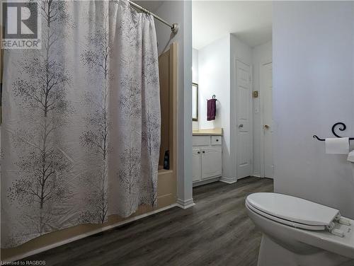 517 2Nd Street W, Owen Sound, ON - Indoor Photo Showing Bathroom