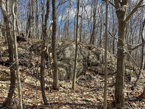 Terre/Terrain - 64 Ch. De La Montagne, Saint-Sixte, QC 