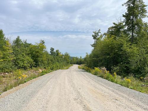 Autre - 64 Ch. De La Montagne, Saint-Sixte, QC 