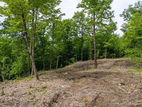 Terre/Terrain - 64 Ch. De La Montagne, Saint-Sixte, QC 