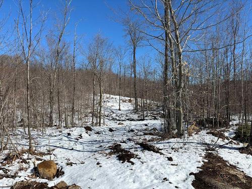 Land/Lot - 67 Ch. De La Montagne, Saint-Sixte, QC 