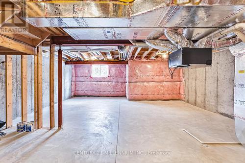 133 Conservation Way, Collingwood, ON - Indoor Photo Showing Basement