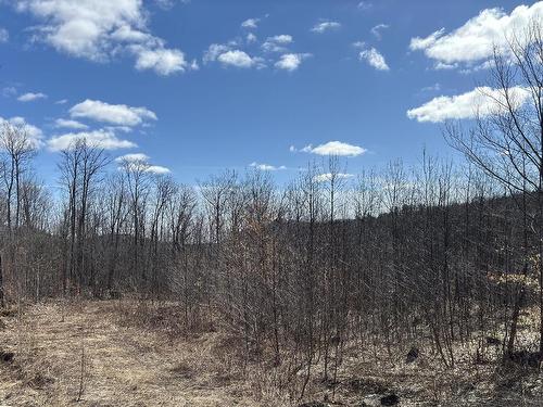 Autre - 72 Ch. De La Montagne, Saint-Sixte, QC 