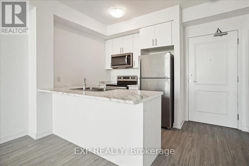 #308 -450 Dundas St E, Hamilton, ON - Indoor Photo Showing Kitchen With Stainless Steel Kitchen With Double Sink