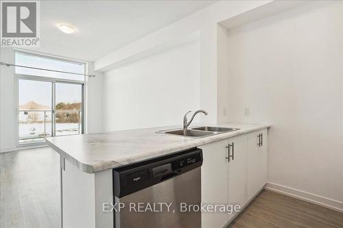 #308 -450 Dundas St E, Hamilton, ON - Indoor Photo Showing Kitchen With Double Sink